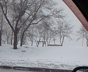 b0125384_1014136.jpg