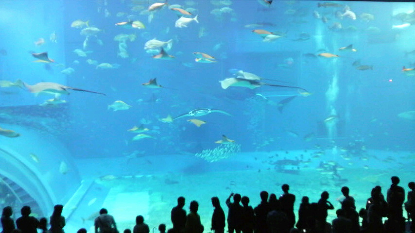 c0156789_2114357.jpg
