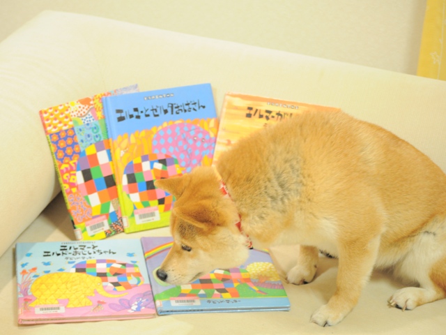 ぞうのエルマー_a0126590_1195067.jpg