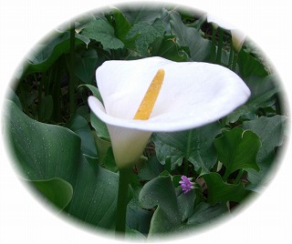 c0125501_921865.jpg