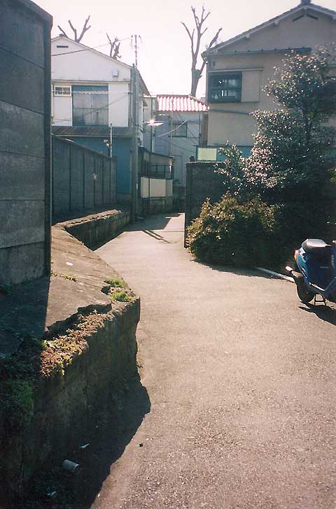 c0163001_2317961.jpg