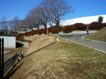 e0131506_23421456.jpg