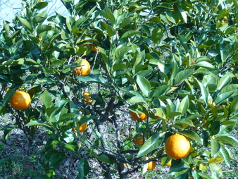 f0221708_19364279.jpg