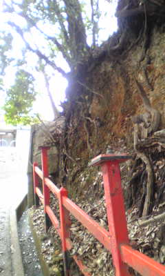 c0180209_17121333.jpg
