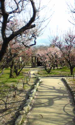 c0180209_17121432.jpg