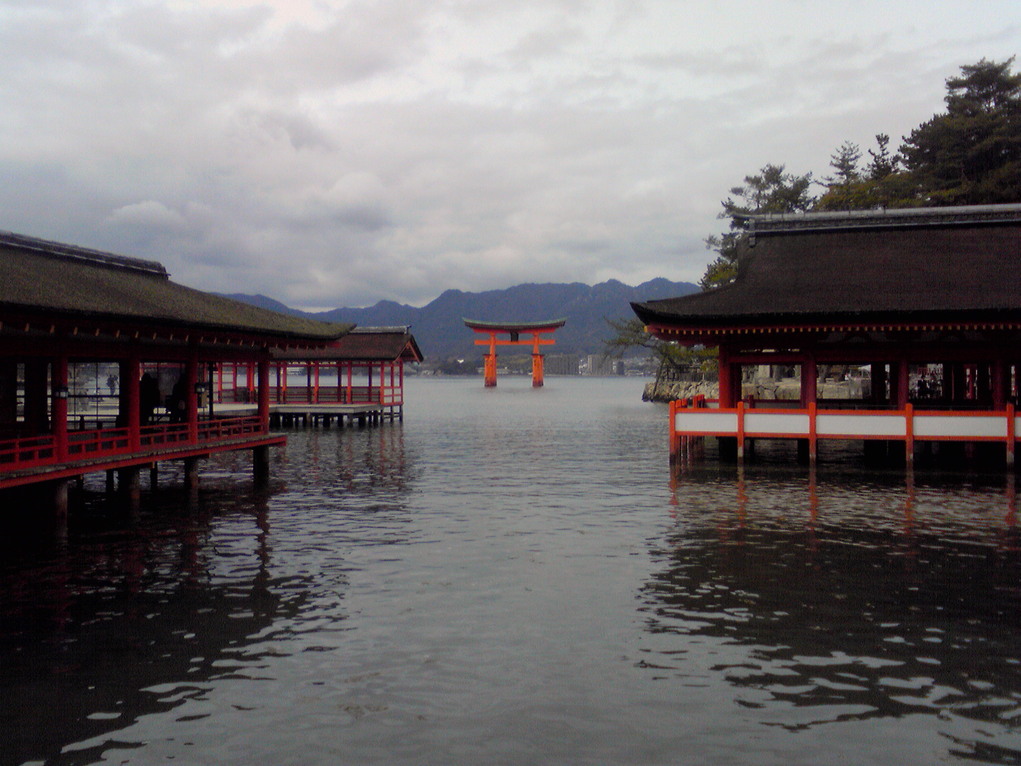 f0054610_1255366.jpg