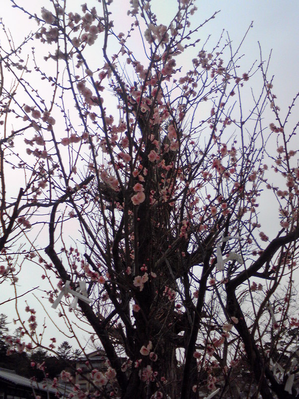 f0054610_131075.jpg