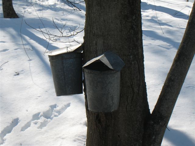 c0079011_12245650.jpg