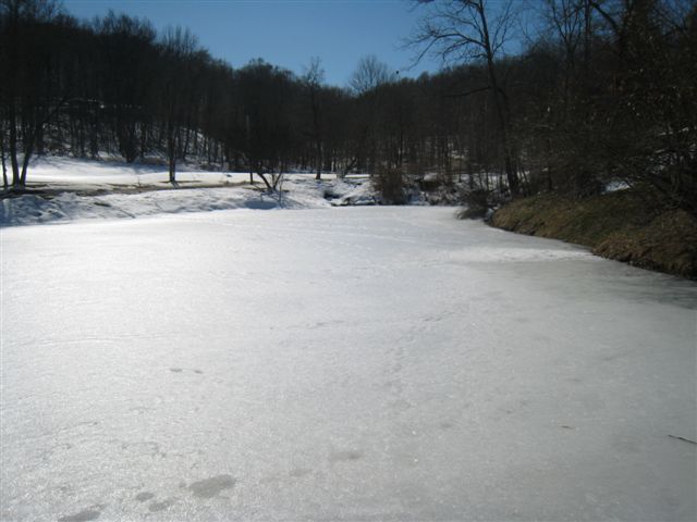 c0079011_1259239.jpg