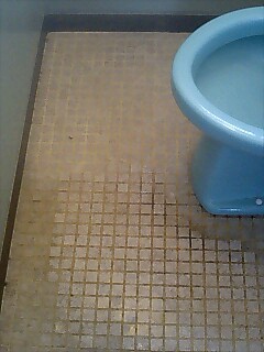 e0091220_18393743.jpg