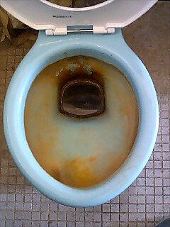 e0091220_189512.jpg