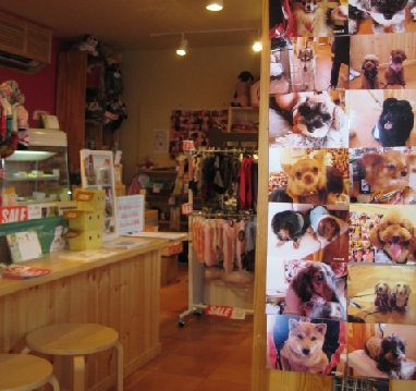 行ってきました!Dog cafe ポワポワ風つけナポリタン!!_b0093221_730387.jpg