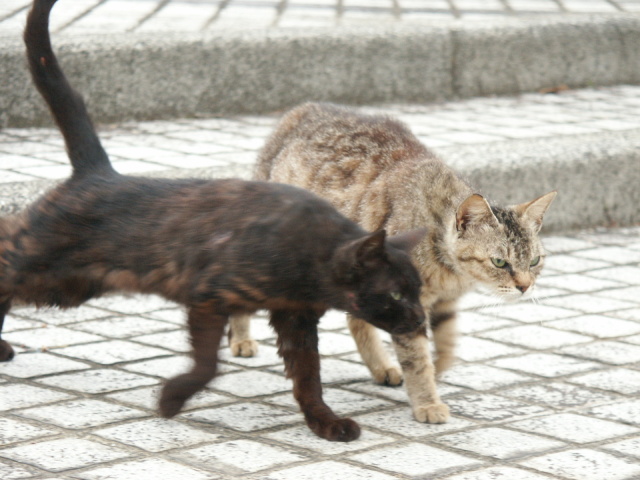 f0214527_1048870.jpg