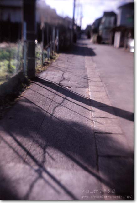 c0221529_20415276.jpg