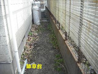 敷地内除草作業と除草剤散布他_f0031037_20175774.jpg