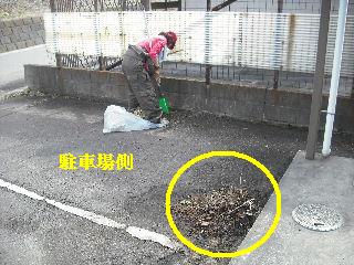 敷地内除草作業と除草剤散布他_f0031037_20194726.jpg