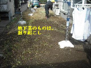 敷地内除草作業と除草剤散布他_f0031037_20212026.jpg