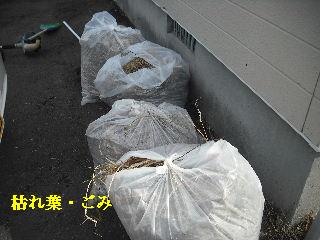 敷地内除草作業と除草剤散布他_f0031037_202226.jpg