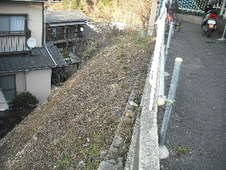 敷地内除草作業と除草剤散布他_f0031037_2029493.jpg