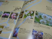 b0180338_22243213.jpg