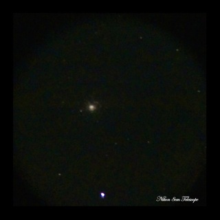 b0167343_0374776.jpg