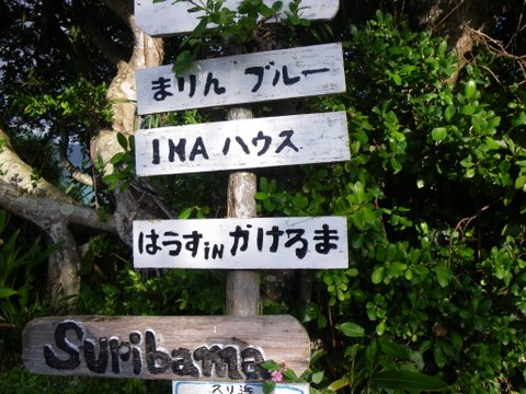 f0046250_2373673.jpg