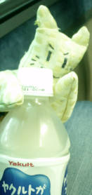 e0033751_2324168.jpg