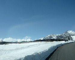 d0050155_111569.jpg