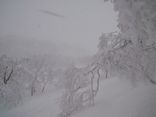 旭岳☆−18℃_c0151965_20261584.jpg