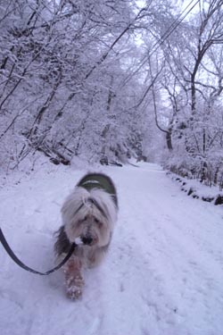 まだまだ雪！_c0078578_16182197.jpg