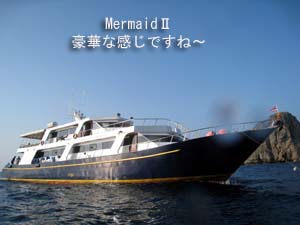 今シーズン初☆ヒンデンクルーズ&NEWクルーズ船_f0144385_15245563.jpg