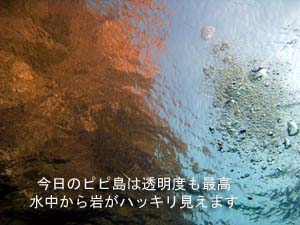 今シーズン初☆ヒンデンクルーズ&NEWクルーズ船_f0144385_15291350.jpg