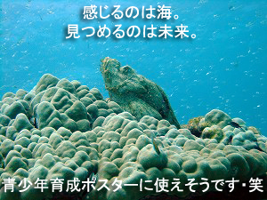 海況抜群!ラチャヤイ島!_f0144385_19241052.jpg
