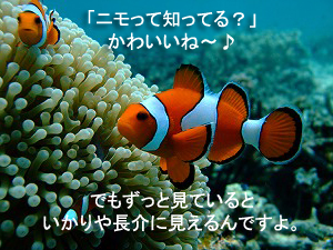 海況抜群!ラチャヤイ島!_f0144385_19601.jpg
