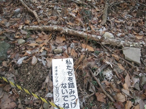 a0166196_14261183.jpg