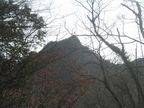 a0166196_155171.jpg