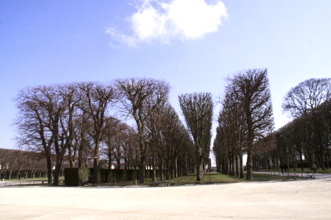 c0090198_5115482.jpg