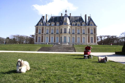 c0090198_572656.jpg