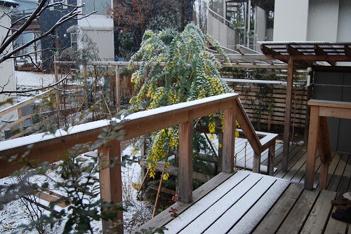 c0124100_21404444.jpg