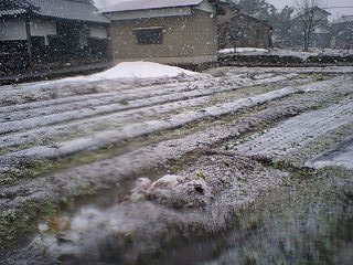 c0163102_21541369.jpg