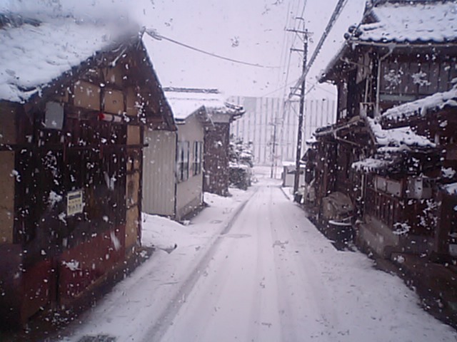 2010/3/9 鳥取 雪_d0065302_1632081.jpg