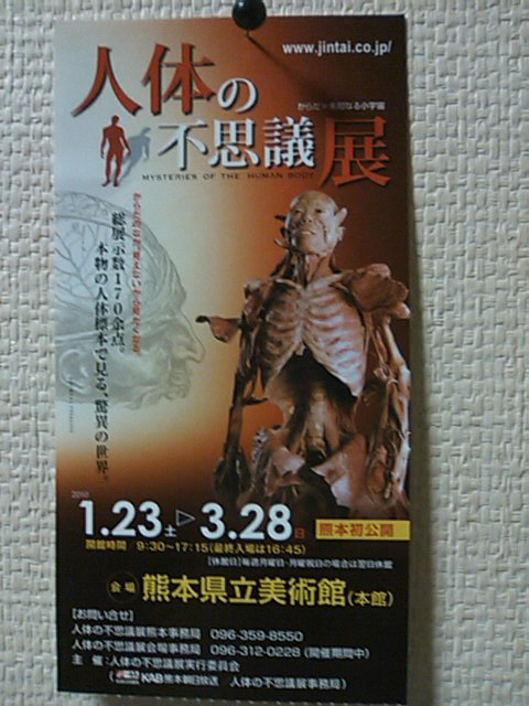 人体の不思議展。。。_c0188610_0102920.jpg