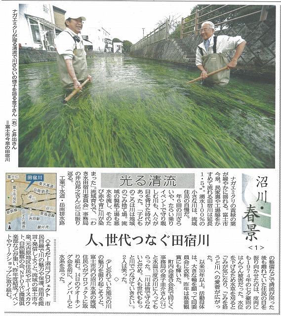 静岡新聞の特集企画「沼川・春景」の掲載が始まりました!_f0141310_23222679.jpg