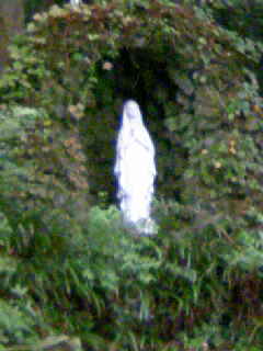e0087611_1314555.jpg