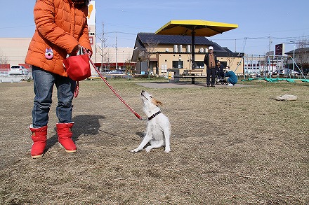 f0191413_10372417.jpg
