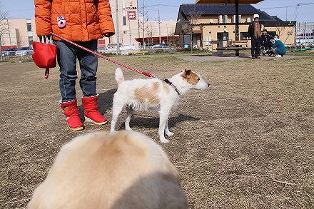 f0191413_10481114.jpg