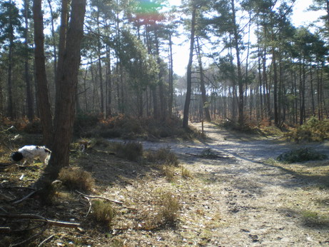 c0124619_19242745.jpg
