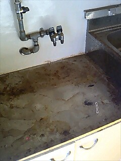 e0091220_1535646.jpg
