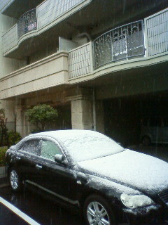 a0071926_115340100.jpg