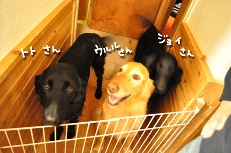 c0186528_22184764.jpg